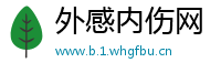 外感内伤网